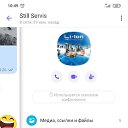 ���� ����, �������, 63 ���� - ��������� 1 ���� 2023