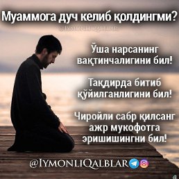  Abbas, , 37  -  22  2023