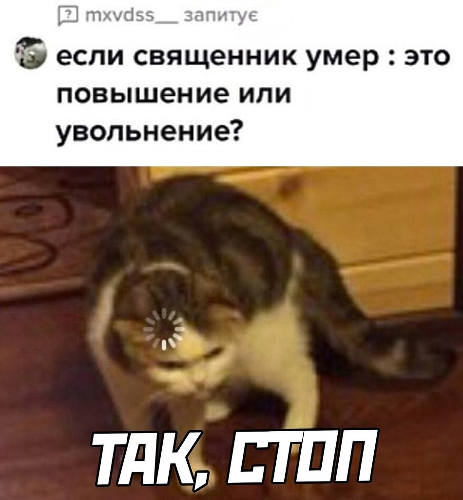 ☆ ☆ - 8  2023  13:37
