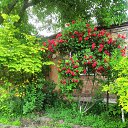 ���� Ded, ������, 59 ��� - ��������� 2 ���� 2023 � ������ ���� ����������