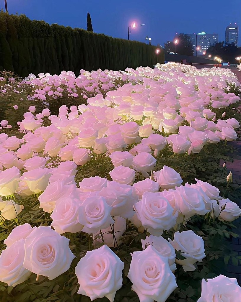 Handmade Club | ���� ��������.���y�����������������. - 2