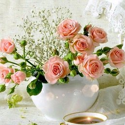 �������, ������, 66 ���