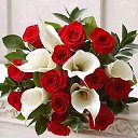 ���� ������, ������, 105 ��� - ��������� 23 ������ 2023 � ������ ���� ����������