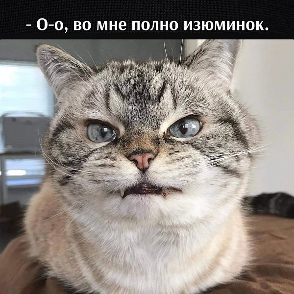       - 22  2023  12:55 - 2