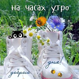 ���� ��������, ������, 60 ��� - ��������� 18 ���� 2023