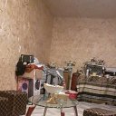 ���� �����, ������, 40 ��� - ��������� 17 �������� 2023 � ������ ���� ����������