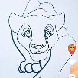 ����, �����, 40 ���