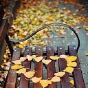 ���� ���������, �������, 47 ��� - ��������� 11 ������� 2023 � ������ ������ ��������