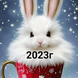 ����, ������, 50 ���