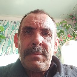 Pavej, ���������, 61 ���