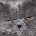 ���� �����, ������, 32 ���� - ��������� 28 �������� 2023 � ������ ������ ��������