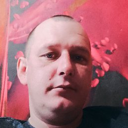 ��������, �����������, 37 ���