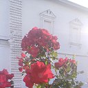 ���� �����, �������, 56 ��� - ��������� 23 �������� 2023 � ������ �������� ������ ���