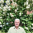 ���� �����, ������, 66 ��� - ��������� 7 ������ 2023 � ������ ���� ����������