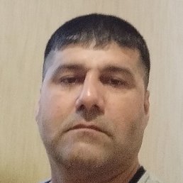 �����, ������, 49 ���