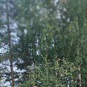 ���� ������, ������-��� - ��������� 14 �������� 2023 � ������ ���� ����������