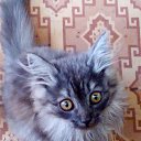 ���� ��, ������, 49 ��� - ��������� 13 ���� 2023