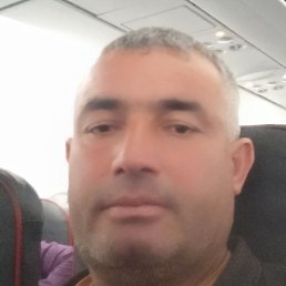 �����, �����-���������, 43 ����