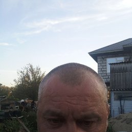 ������ ����, ���������, 46 ���