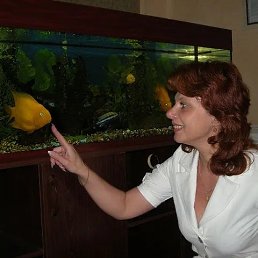 ���� �������, ������, 57 ��� - ��������� 8 ����� 2023