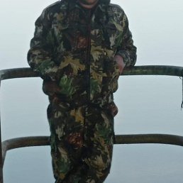 ������, �����, 37 ���