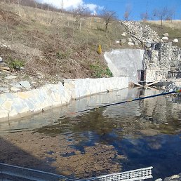 Elman, ����, 42 ����