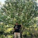 ���� ������, �����������, 51 ��� - ��������� 1 ������� 2023 � ������ ���� ����������