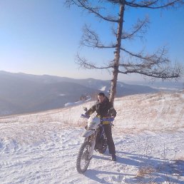 ��������, ������, 37 ���