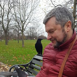 ���������, ���������, 60 ���