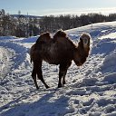 ���� ������, �����-�������, 34 ���� - ��������� 2 ������� 2023 � ������ ���� ����������