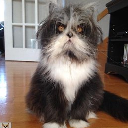 �������, ������, 47 ���