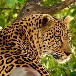 ���� ������, ������, 70 ��� - ��������� 26 �������� 2023