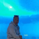 ���� �������, ������, 40 ��� - ��������� 7 ���� 2023
