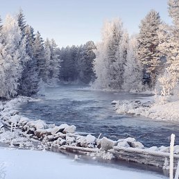 ���� ����, ������, 37 ��� - ��������� 6 ������� 2023