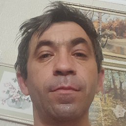 , , 51 