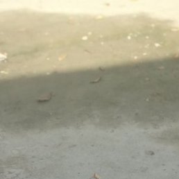 , , 33 