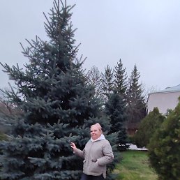 ������, �����, 66 ���