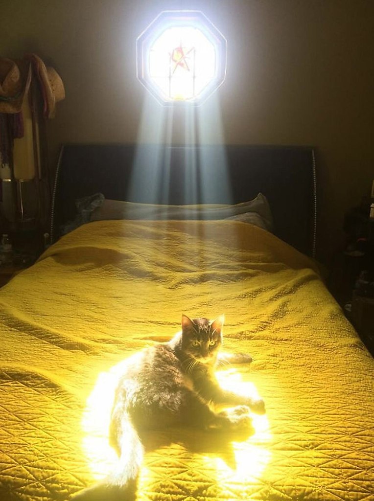 ,    