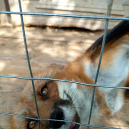 ���� �������, �����-���������, 48 ��� - ��������� 12 �������� 2023