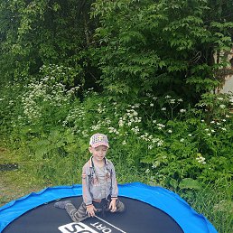 ������, ������, 54 ����