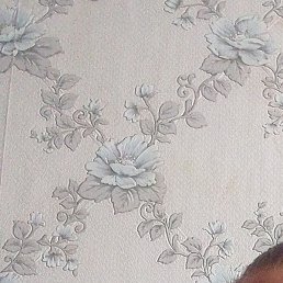 ������, ������, 37 ���