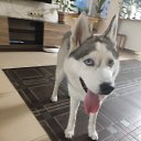 ���� �����, ������, 21 ��� - ��������� 20 �������� 2023 � ������ ���� ����������