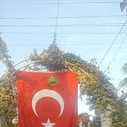 ������, �������, 42 ����