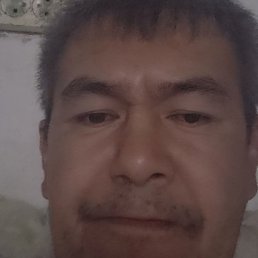 ������, �����, 52 ����