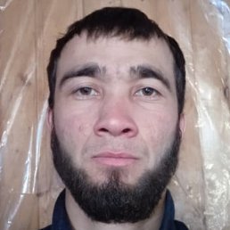 ����, �����-���������, 24 ����