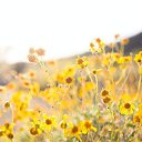 ���� �������, �����-���������, 55 ��� - ��������� 13 ������ 2023