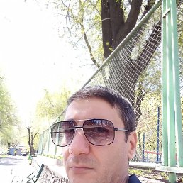 ������, ��������, 46 ���