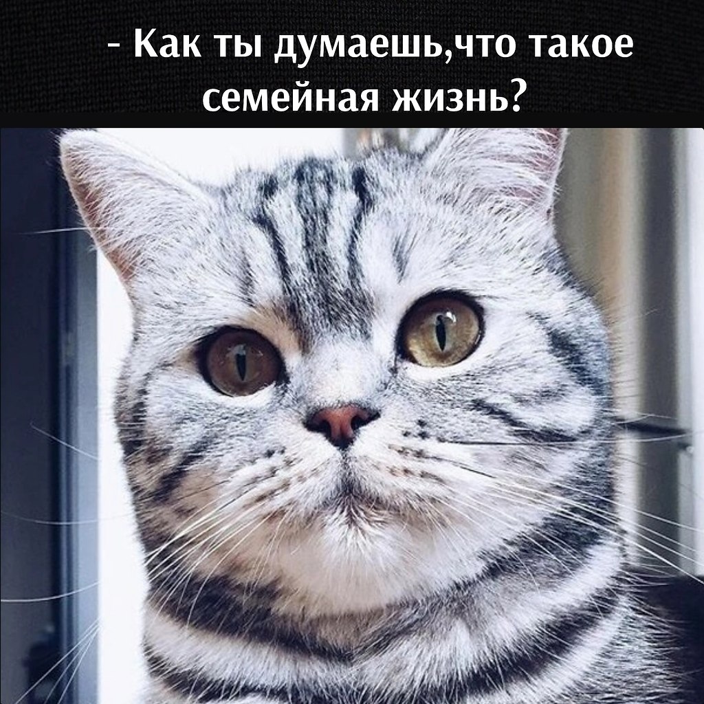       - 22  2023  17:14