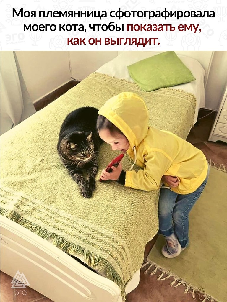 .    ,       .  ...