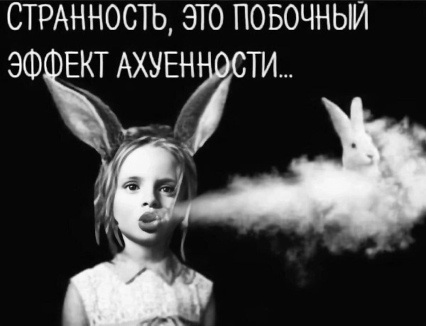 ***Victoria Viktorovna*** - 12  2023  04:33